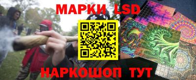 крисы Кингисепп