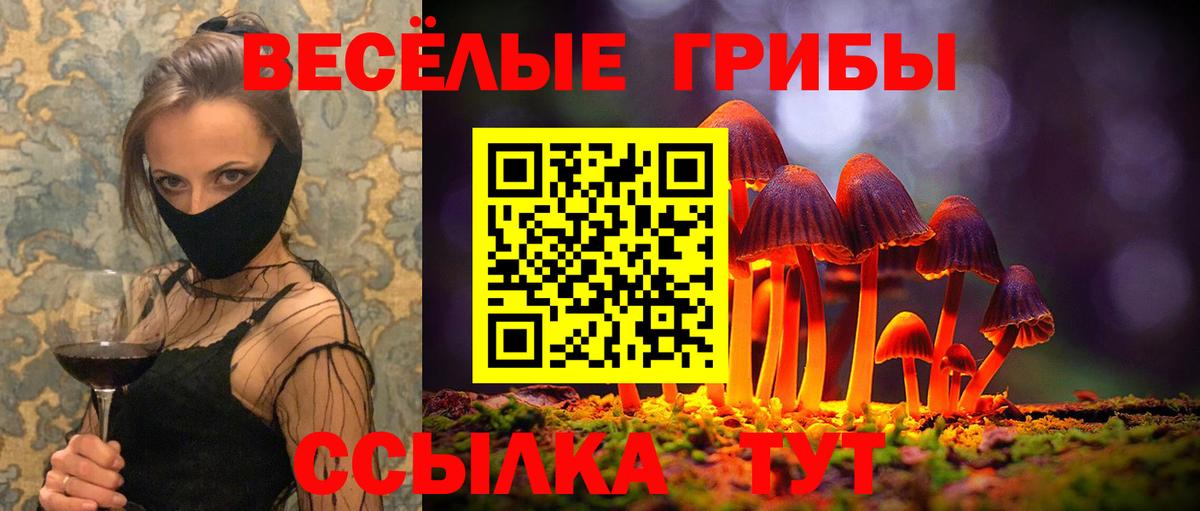 Галлюциногенные грибы Psilocybe  Псилоцибиновые грибы MAGIC MUSHROOMS  Вход с VPN  Озёрск 